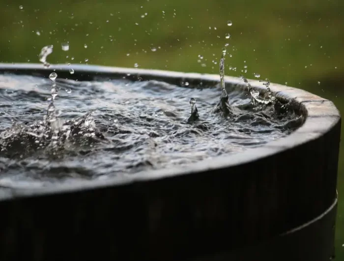 purifier l eau de pluie naturellement la pluie qui tombe dans un bidon