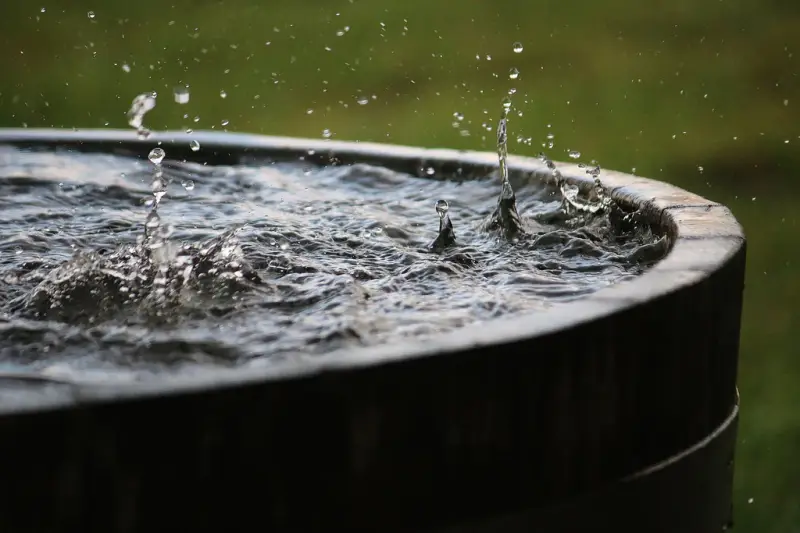 to purify rainwater, natural rain that falls into the canister