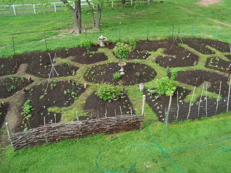 que mettre au fond d un carre potager jardin en permaculture