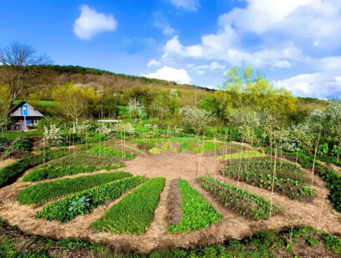 que planter dans un potager sureleve un grand jardin en permaculture