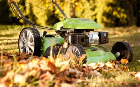 quelle hauteur couper le gazon pour l'hiver tondeuse automne