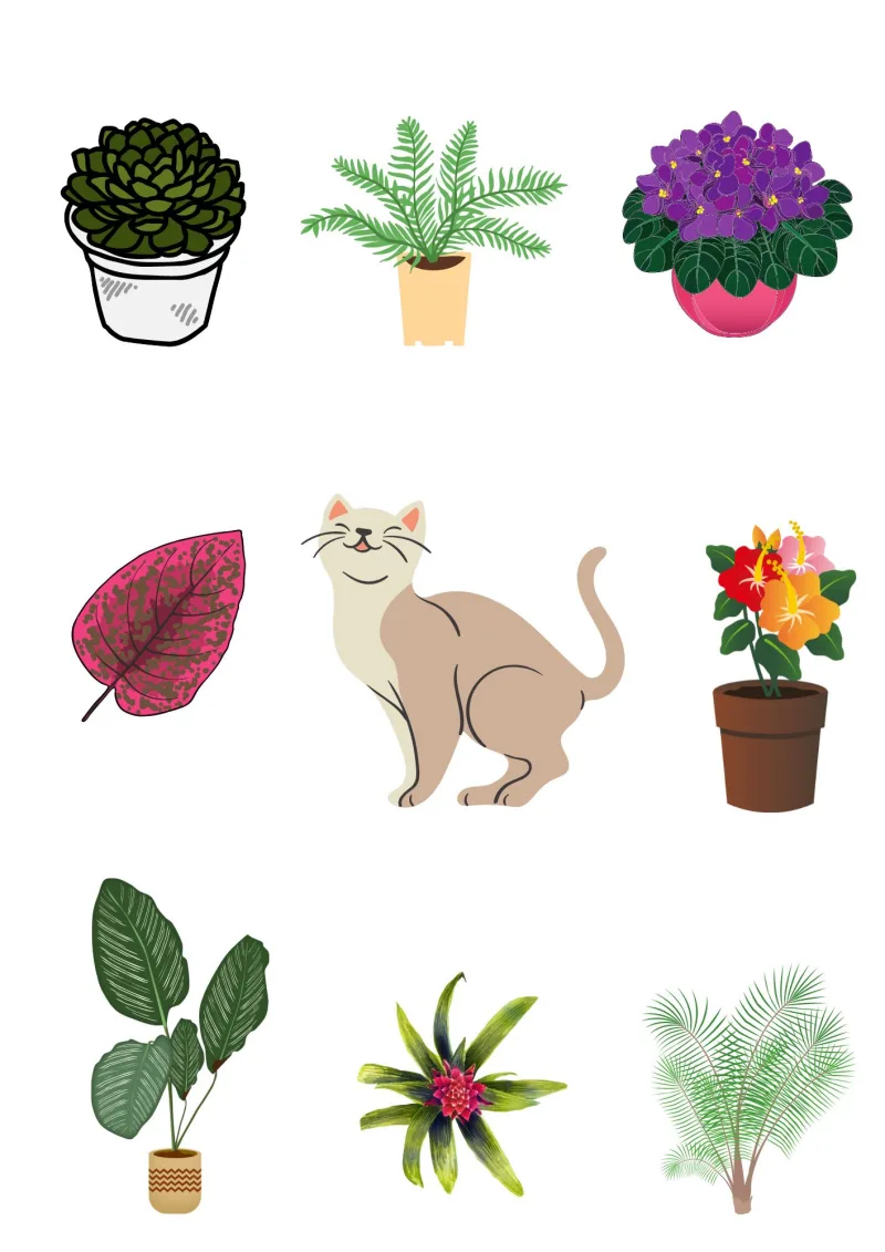 quelles sont les plantes d intérieur non toxiques pour les chats
