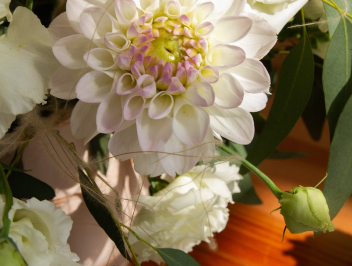 quels sont les fleurs du mois d'octobre chrysantheme blanches