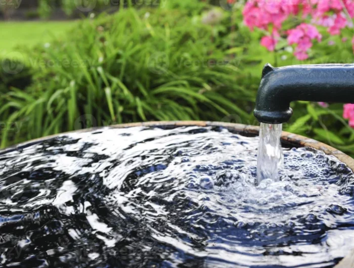 qui est responsable de l'évacuation des eaux pluviales tuyau eau plante fleurs roses