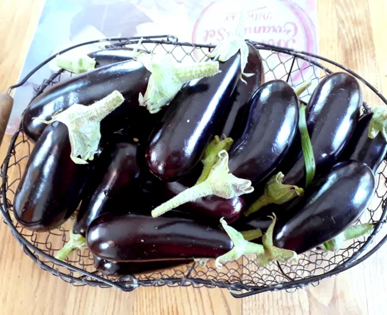 recettes conserves d aubergines cru pour l hiver