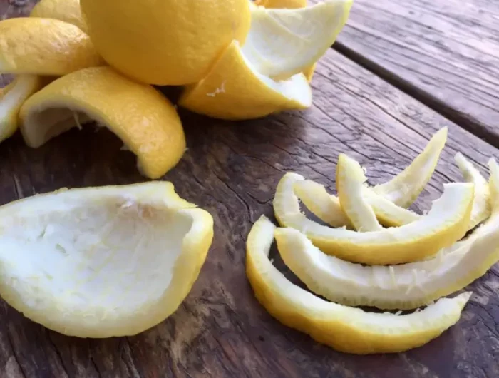 repulsif chat remede de grand mere une ecorce de citron