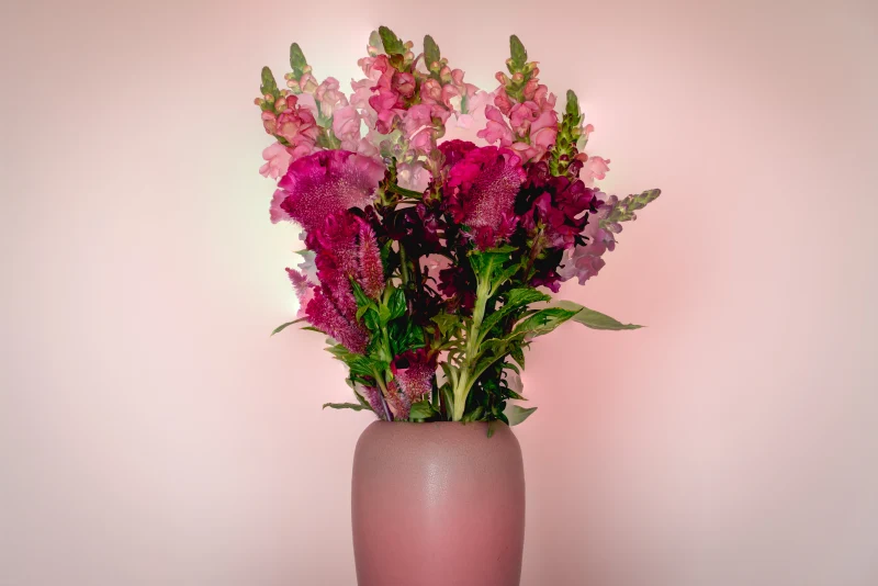 vouquet de fleurs couleurs pastels vase rose