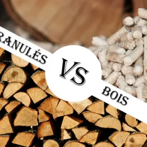 Quelle est la différence entre poêle à bois et poêle à granulés ?