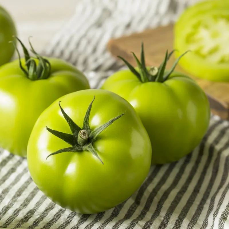 faire mûrir des tomates vertes au soleil tomates vertes poses sur la table