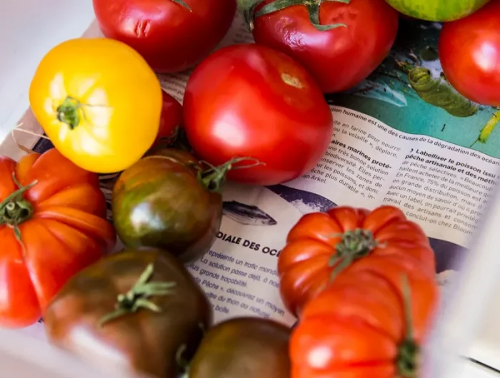 pourquoi le papier journal fait mûrir les tomates tomates rouges et verts sur un journal