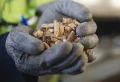 Combien de granulés de bois faut-il s’assurer pour un hiver ?