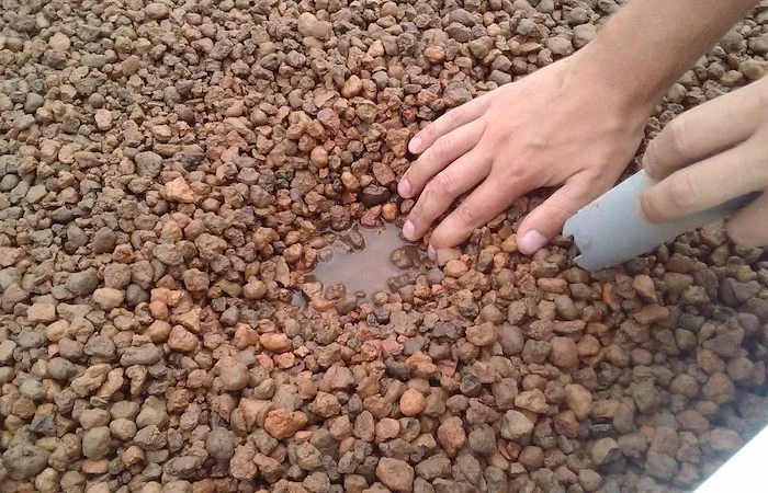 a quel moment pailler le potager pierre et gravier comme compost