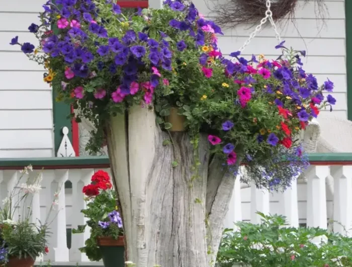 accrocher des pots de fleurs sur un tronc d arbre