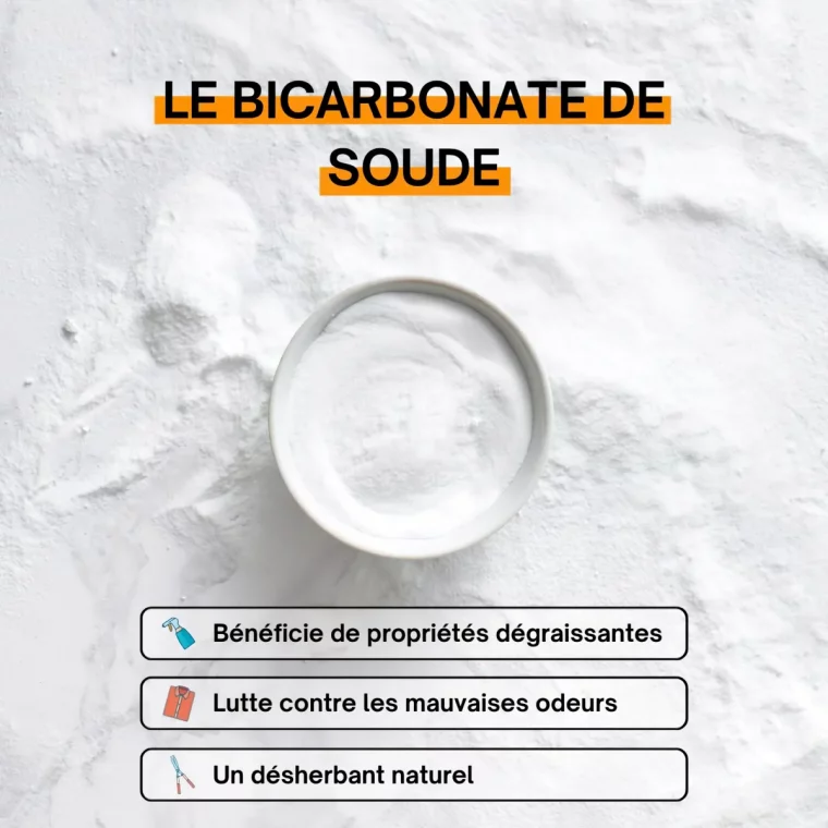 avantages du bicarbonate de soude liste