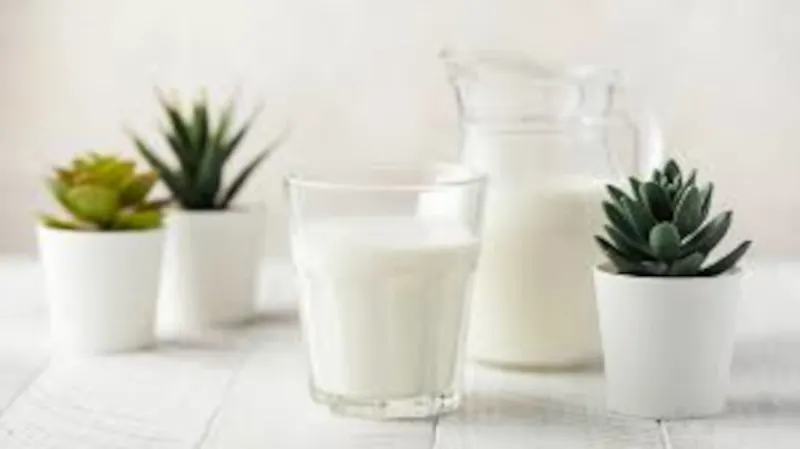 avantages et inconvenients de l utilisation du lait pour les plantes