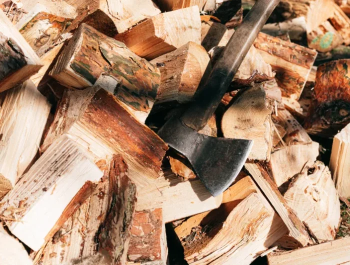bois de chauffage écologique quel est le meilleur bois de chauffage pour chaudière ou cheminée classement combustible moins cher