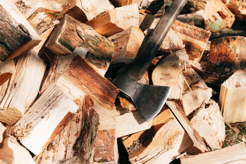 bois de chauffage écologique quel est le meilleur bois de chauffage pour chaudière ou cheminée classement combustible moins cher