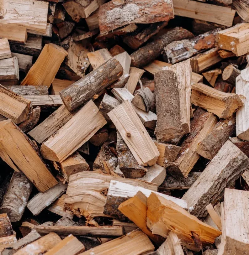 bois pour cheminée que est le meilleur bois de chauffage pour l hiver