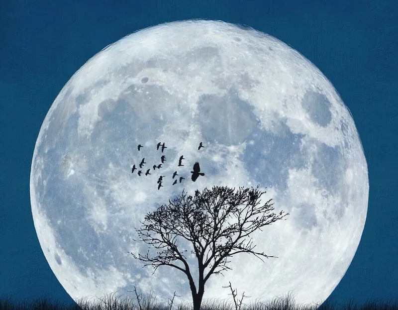 lunar calendar 2022 full moon