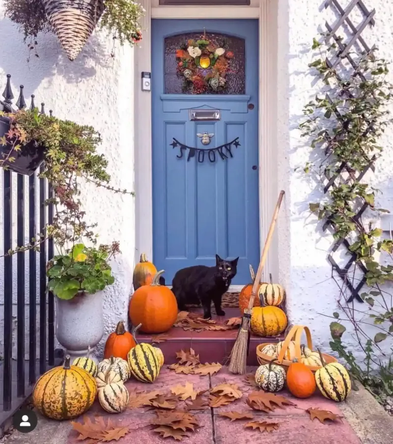 citrouilles multicouleurs avec un chat noir devant une porte bleue