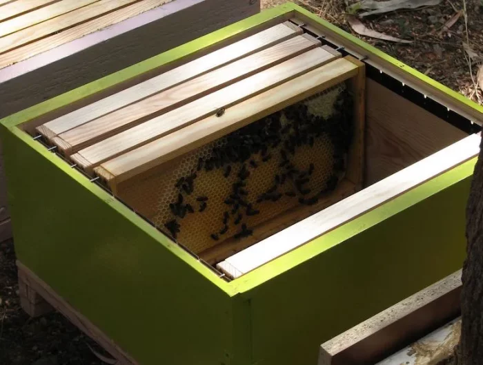 comment aider les abeilles en hiver rechauffement et ventilation