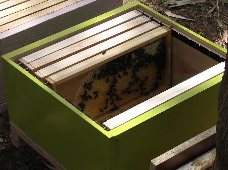 comment aider les abeilles en hiver rechauffement et ventilation