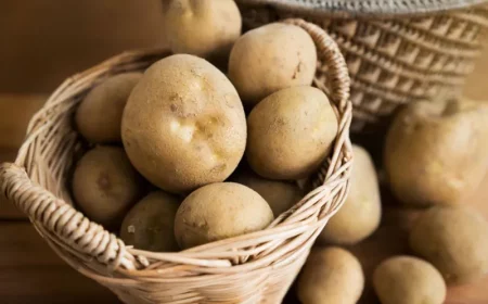 comment conserver les pommes de terre le plus longtemps possible