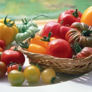Comment conserver longtemps les tomates en automne ?