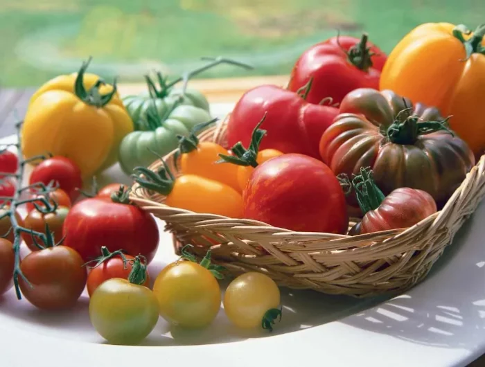 comment conserver longtemps les tomates en automne