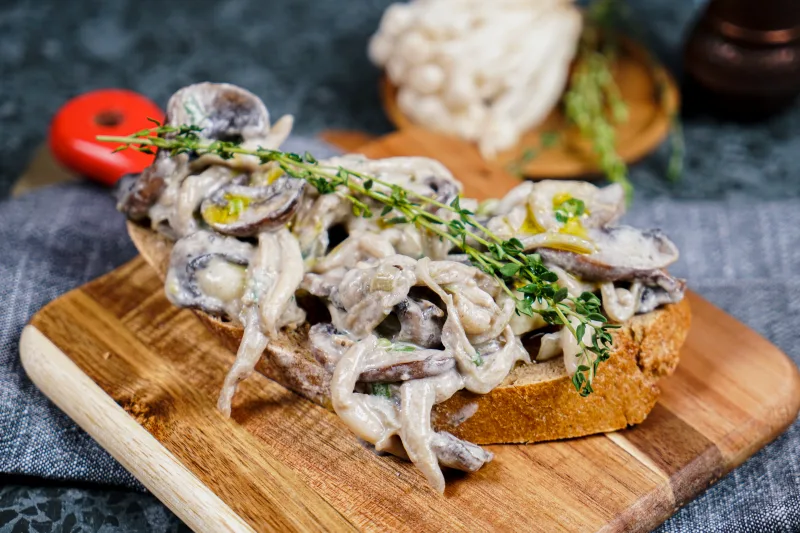comment cuire des champignons idée recette champignons à la crème servis sur tranche de pain
