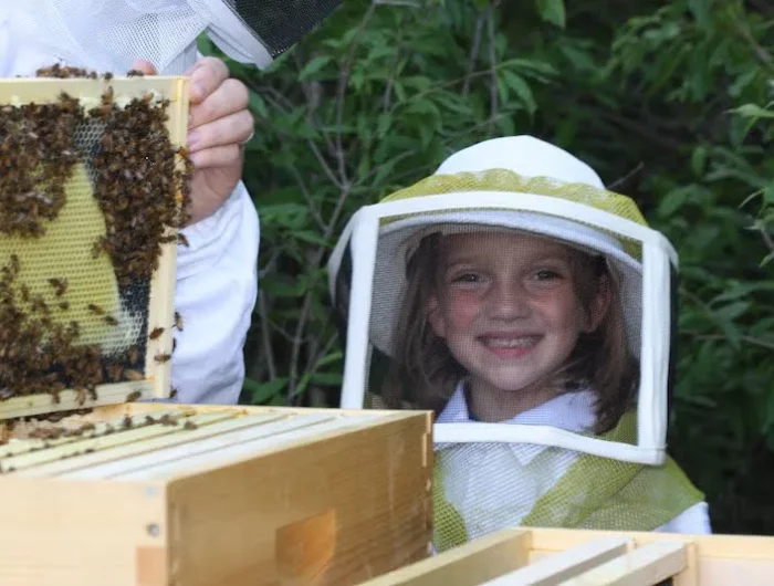 comment faire hiverner les abeilles au jardin traitement de ruche homme et enfant