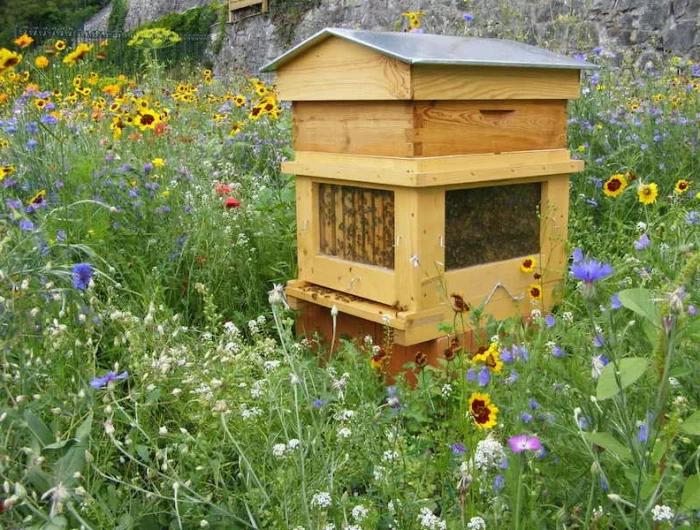 comment faire hiverner les abeilles avec la chaleur ruche dans une pelouse