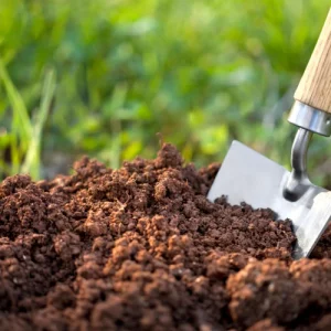 Comment faire une analyse de sol du jardin soi-même ? Pourquoi il est essentiel de le faire avant de planter ?