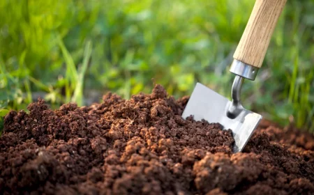 comment identifier le type de sol terre binette verdure gazon