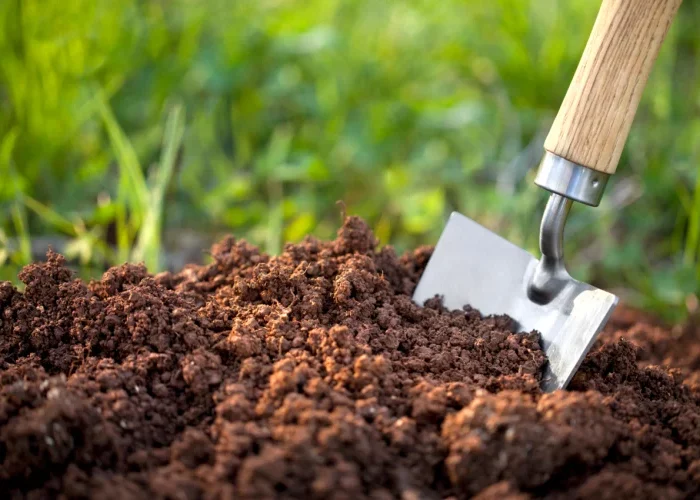 comment identifier le type de sol terre binette verdure gazon