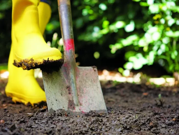 comment planter de lail en octobre creusement de sol bottines jaunes