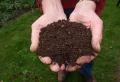 Quels légumes planter dans un sol argileux ? Comment réaliser un jardin fertile sans effort et avec des produits 100 % naturels ?