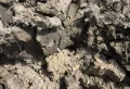 Quels légumes planter dans un sol argileux ? Comment réaliser un jardin fertile sans effort et avec des produits 100 % naturels ?