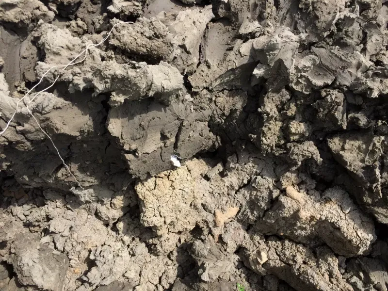 comment reconnaitre le sol argilieux et quel plant planter