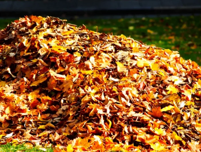 comment transformer les feuilles mortes en pellet bruler