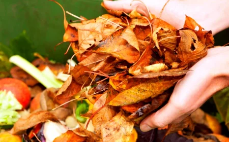 comment utiliser les feuilles mortes comme engrais naturel