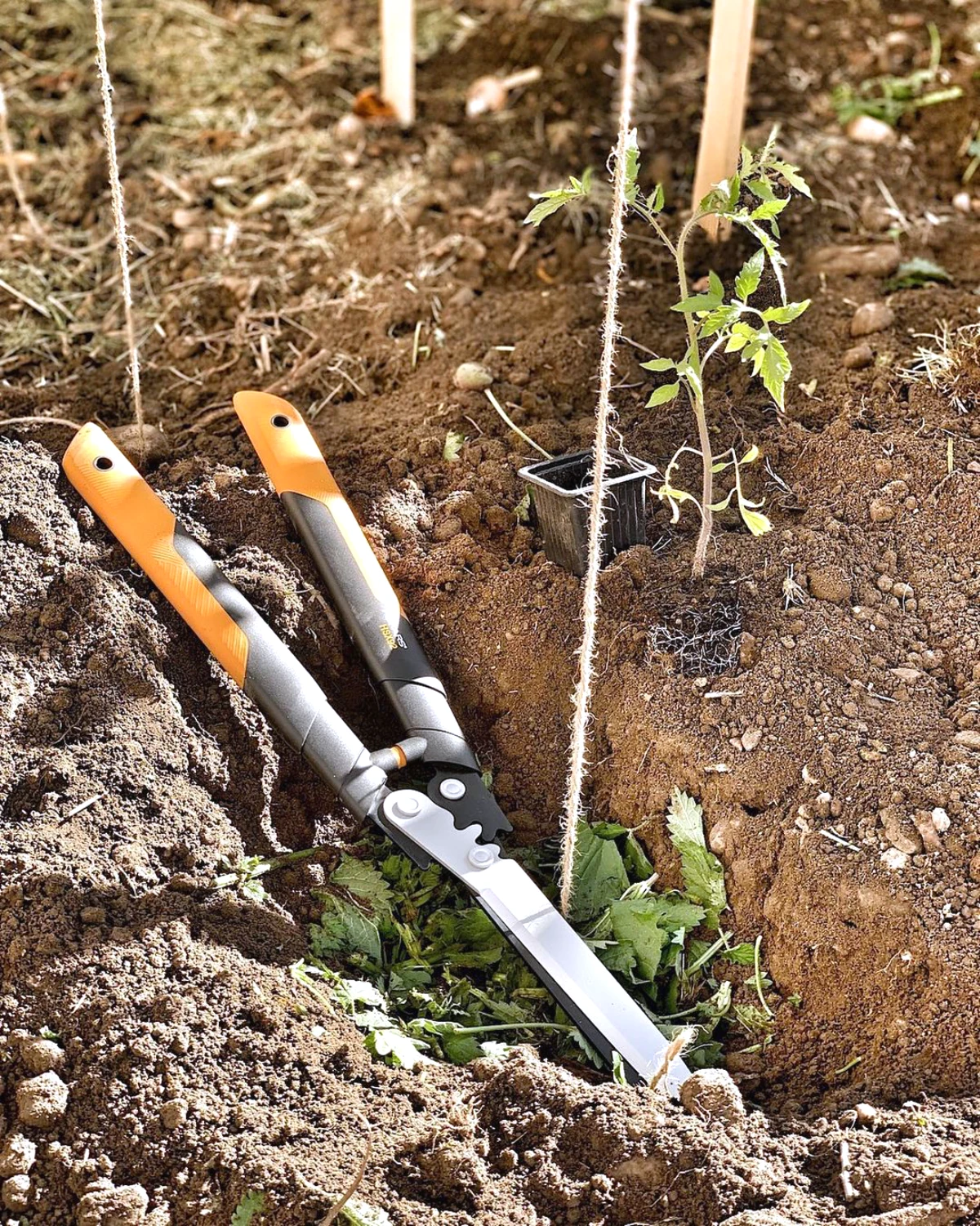 compost comme paillage