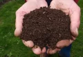 Peut-on planter directement dans du compost ? Ces astuces vous garantissent un jardin digne d’un magazine !