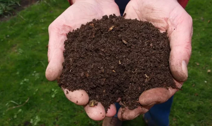 compost sera obligatoire en france homme qui tiens dans ses mains composte