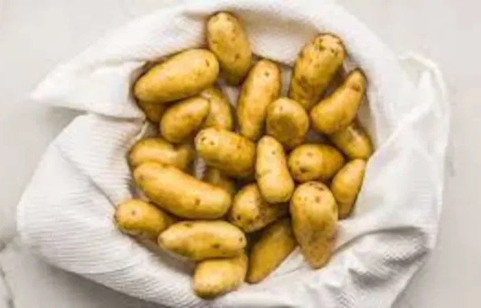conseils et astuces pour bien stocker les pommes de terre