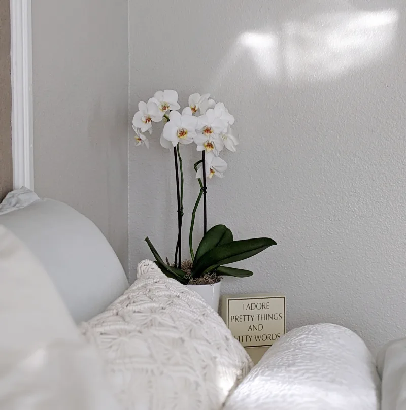 deco chambre blanche coussins decoratifs pot orchidee blanche