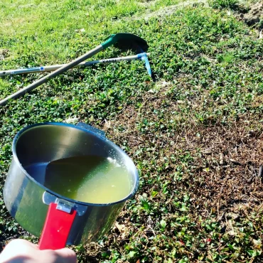 est ce que l eau de cuisson bouillante fonctionne contre les mauvaises herbes