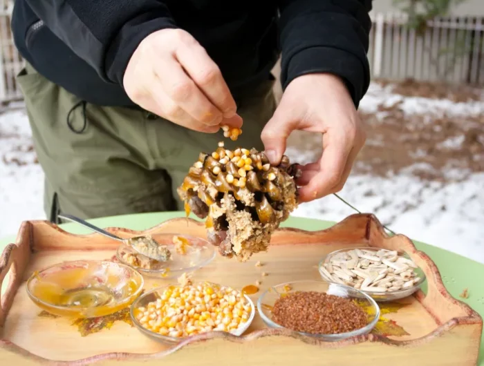 fabriquer mangeoire oiseaux en pommes de pin beurre de cacahuete et graines