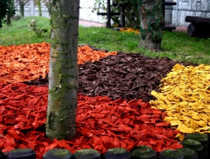 faut il pailler le potager paillis differentes couleurs autour dunarbre