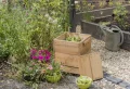 Peut-on planter directement dans du compost ? Ces astuces vous garantissent un jardin digne d’un magazine !